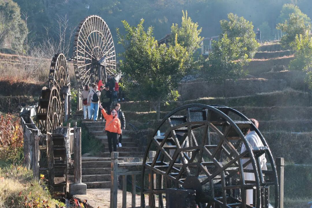 司莫拉20260116刘正凡摄 (73).JPG