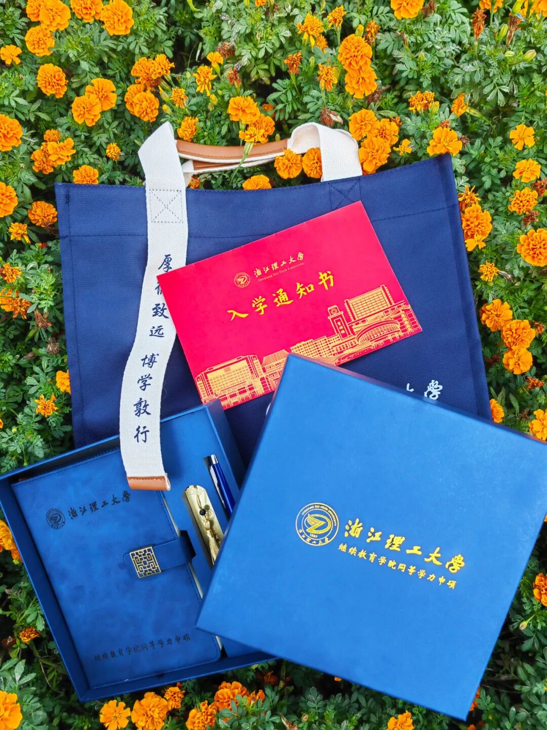 浙江理工大学同等学力人员申请硕士学位开学典礼活动安排