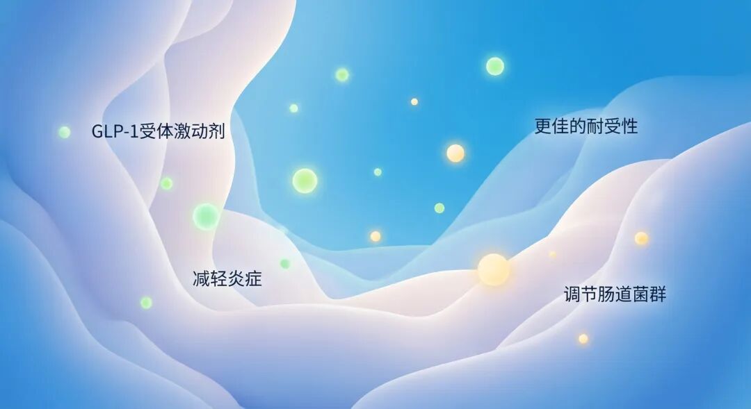 抽象的肠道微环境医学插画，采用盛诺一家品牌蓝色调。画面线条柔和圆润，展现了GLP-1受体激动剂带来的温和保护感。绿色的光点代表炎症的减轻，暖黄色的光点代表肠道菌群的平衡与修复。整体氛围专业且充满希望，强调了药物相比阿司匹林具有更佳的耐受性和安全性。