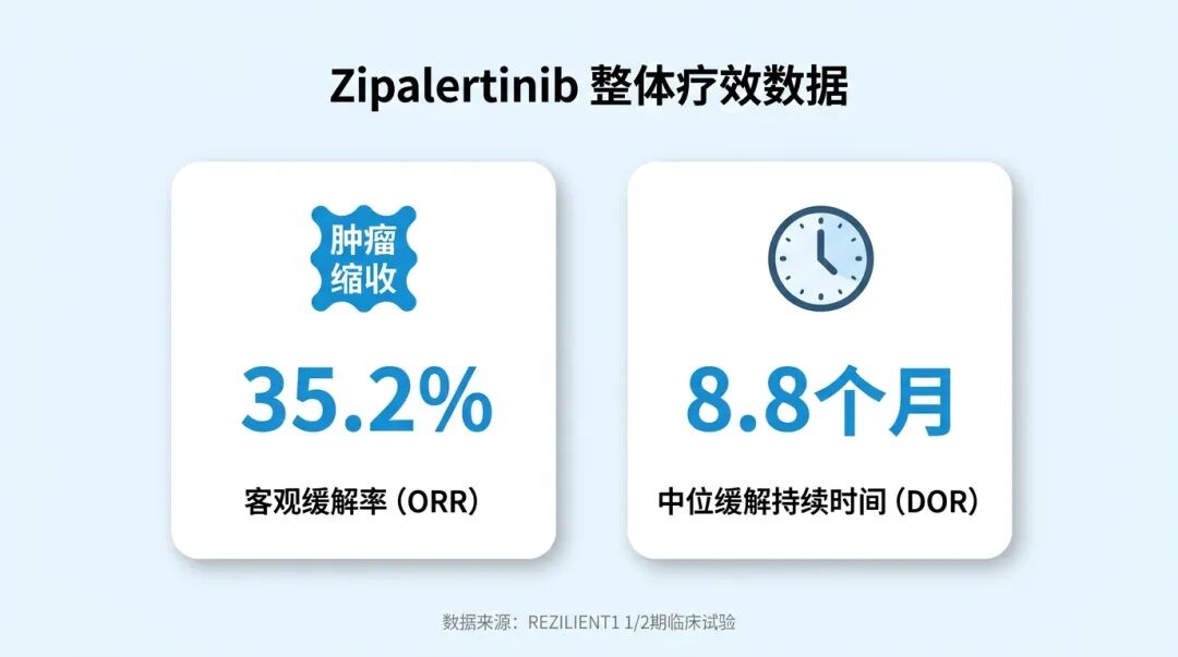 Zipalertinib整体疗效数据信息图