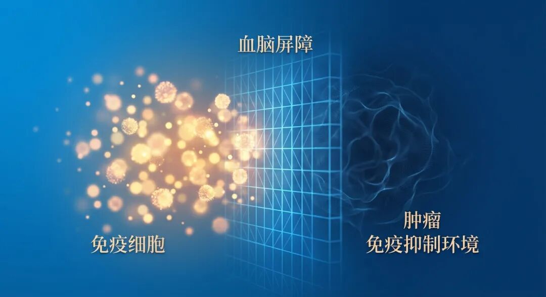 一张抽象医学插画：深蓝色的血脑屏障如严密的网格，将金色的免疫细胞阻隔在外，导致屏障另一侧的肿瘤在缺乏免疫监视的环境下生长。