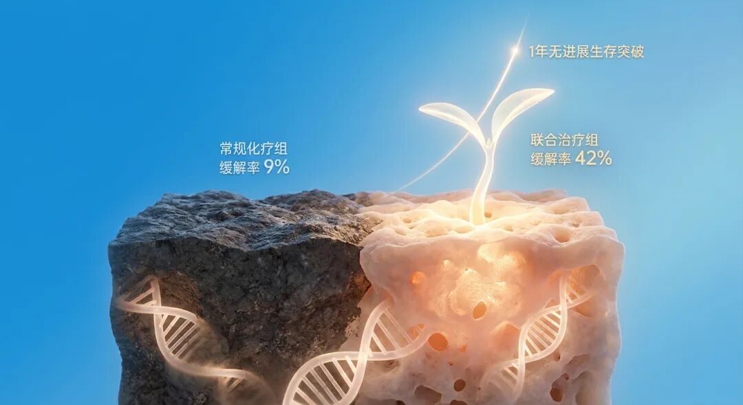 一张充满生机与希望的医学插画。在盛诺一家品牌蓝的背景下，一株象征生命的嫩芽从被‘重塑’的土壤中破土而出。画面对比了临床研究数据：帕立骨化醇联合化疗组的缓解率高达42%，远高于常规化疗组的9%，并标注了‘1年无进展生存突破’。整体光影通透温暖，寓意着新技术为胰腺癌患者带来的生存希望。
