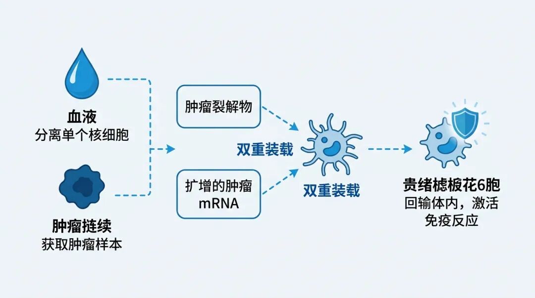 DOC1021个体化定制与双重装载机制科普流程图
