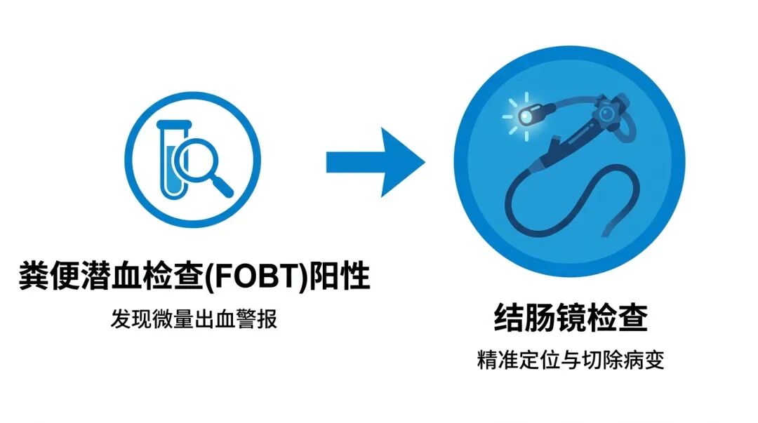 粪便潜血检查到结肠镜检查的完整筛查流程图