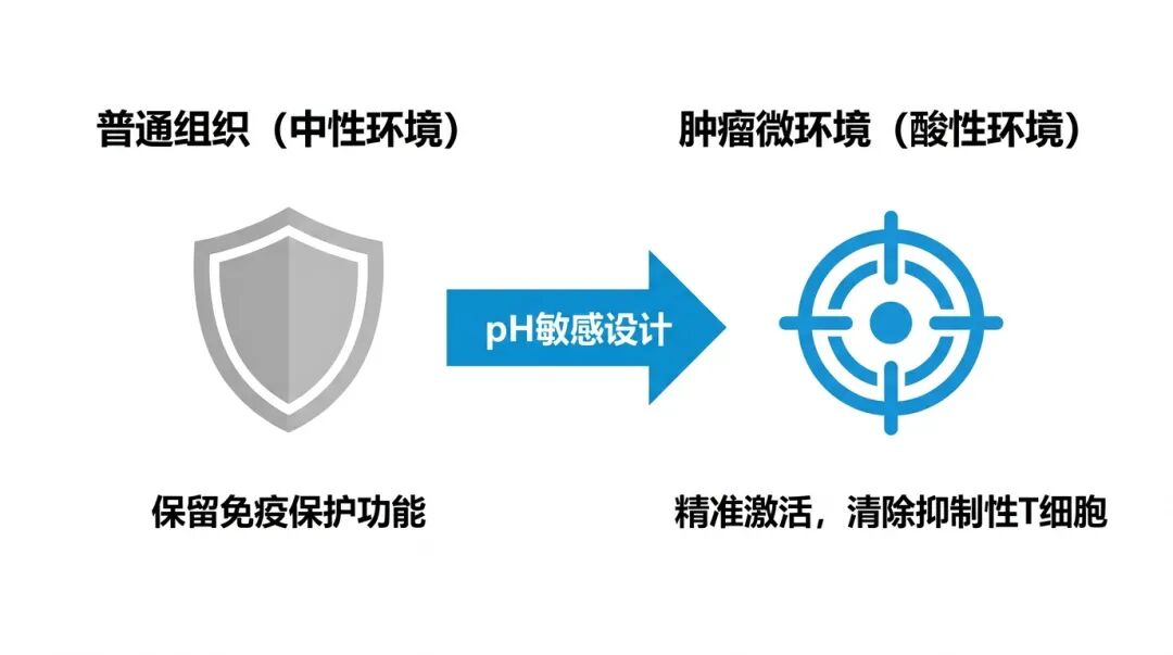 Gotistobart药物pH敏感设计作用机制科普图