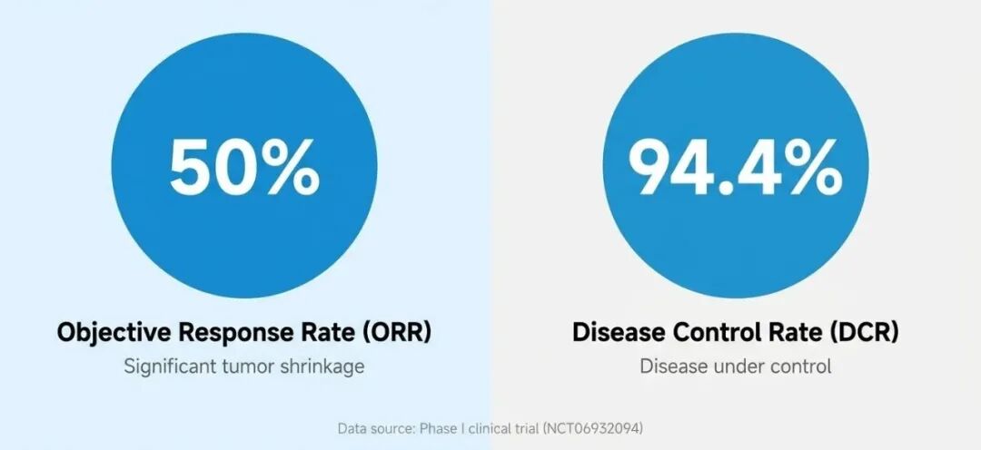 QLS5132客观缓解率与疾病控制率数据图