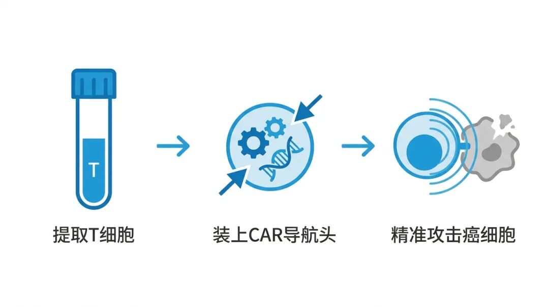 CAR-T疗法三步原理图：提取、改造和攻击癌细胞