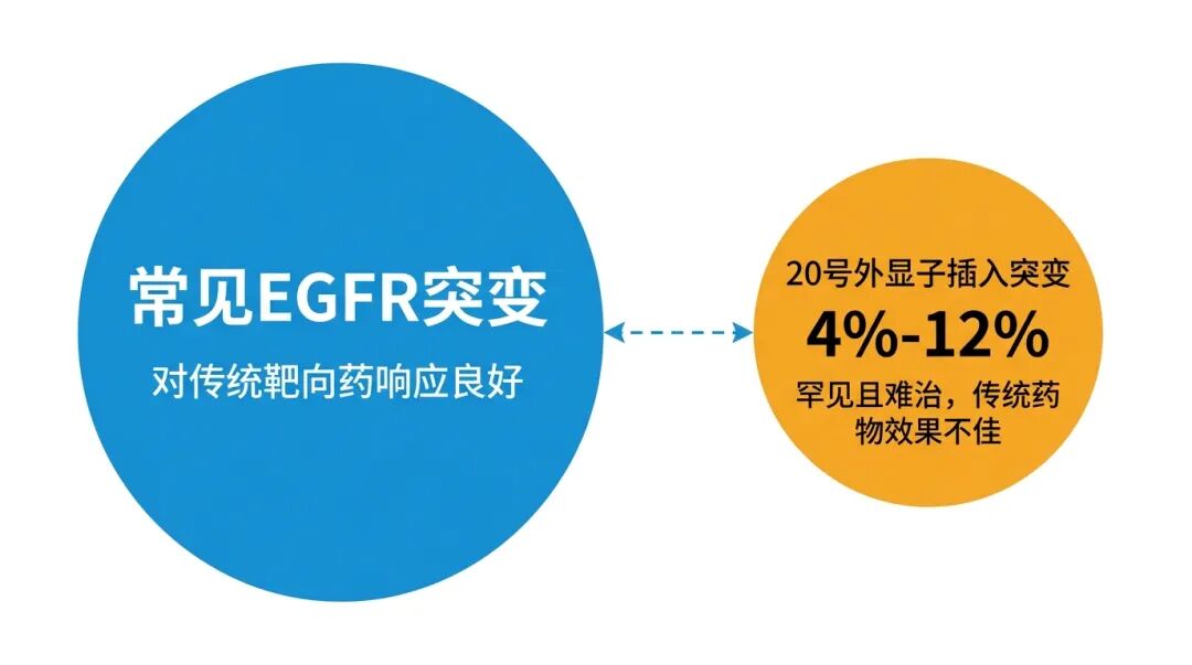 EGFR 20号外显子插入突变罕见性科普图
