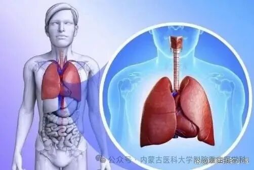 为什么要带呼吸机【医疗科普】什么是呼吸机？_https://www.jmylbn.com_新闻资讯_第4张