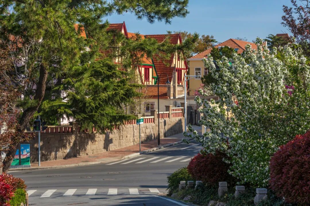青岛八大关是许多热门电影取景地。