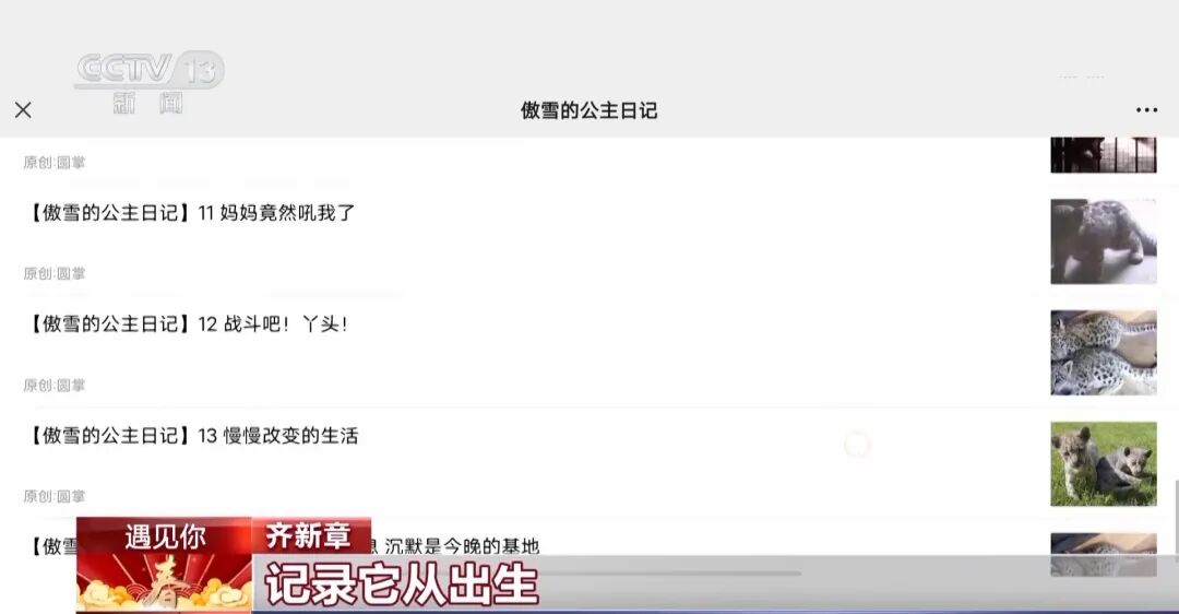 听说现在流行逛动物园？热度堪比迪士尼
