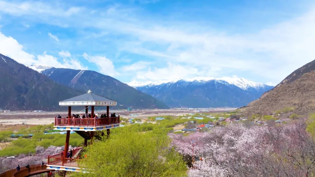 林芝市旅游发展局