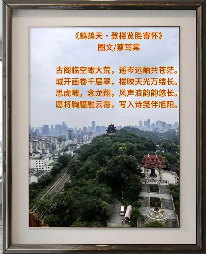 d8767090a9d4259d8c24381e807f154