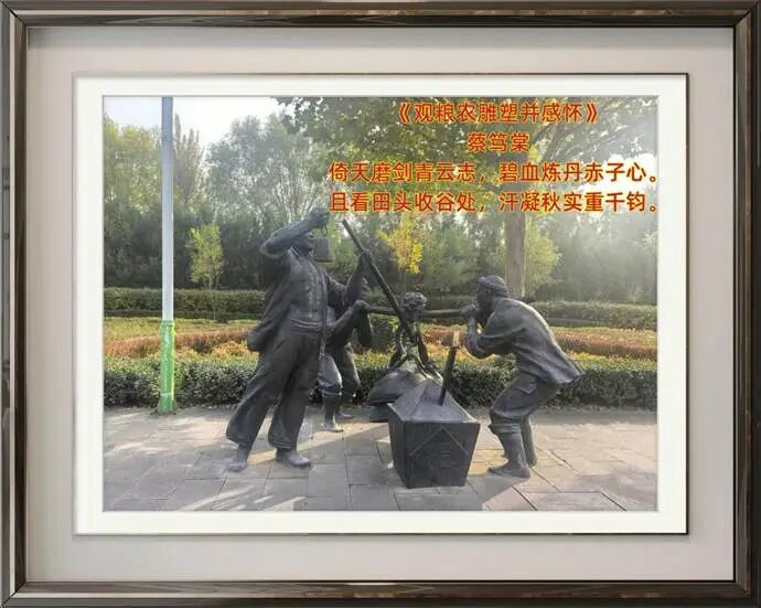 e3b3d2bfda75278a37de995c0ee5d372