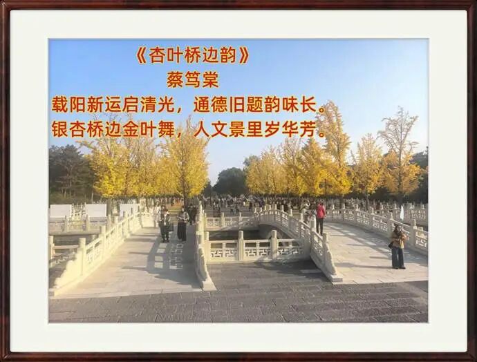 b18977ba7e34279e6b579d1f7d8d8492