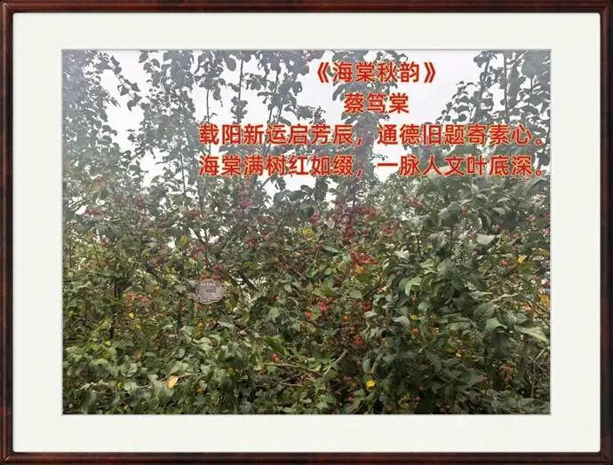 754167883dacfc34b49ca1de0ea91df0