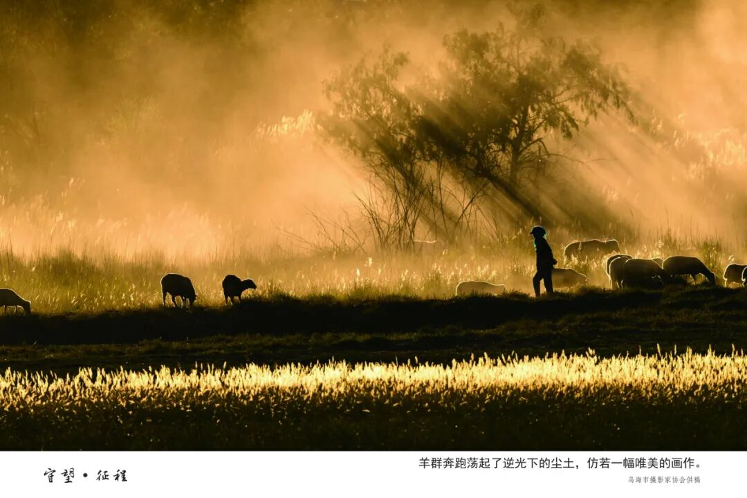 展讯丨“守望·征程——长城与黄河在内蒙古乌海首次拥抱”主题摄影展 第4张