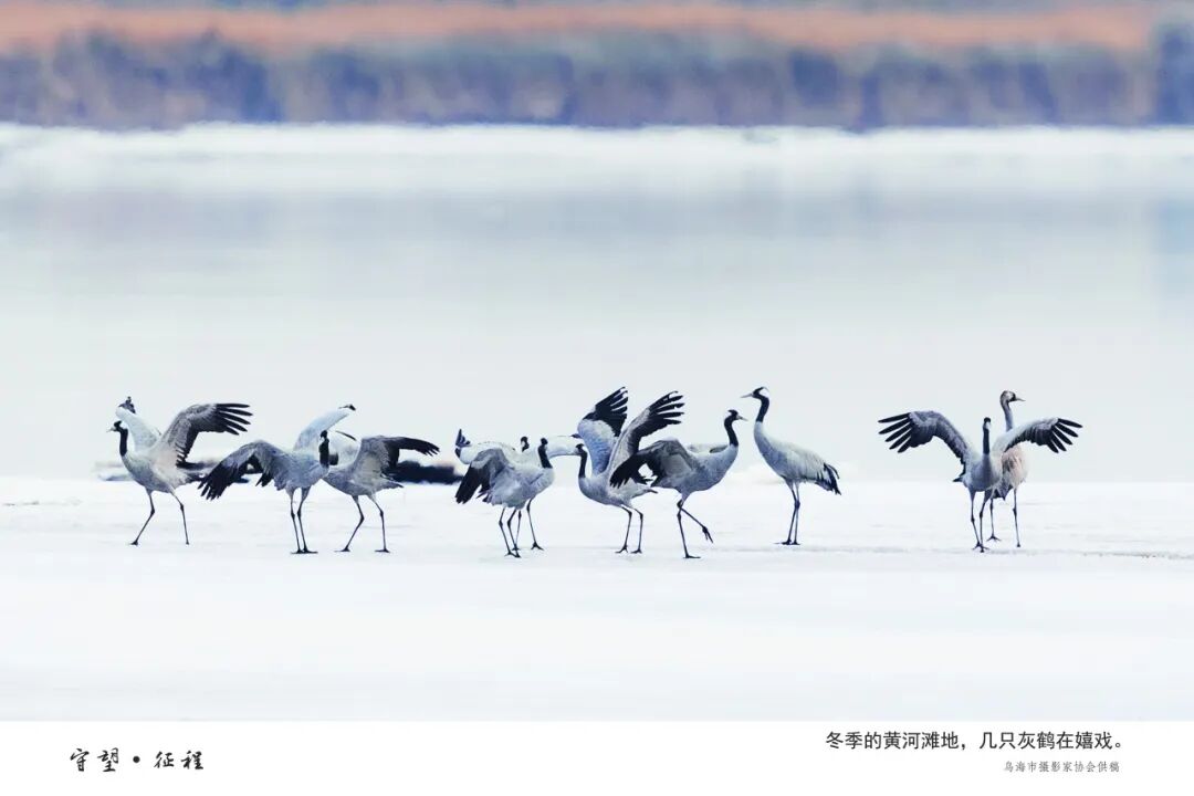 展讯丨“守望·征程——长城与黄河在内蒙古乌海首次拥抱”主题摄影展 第12张