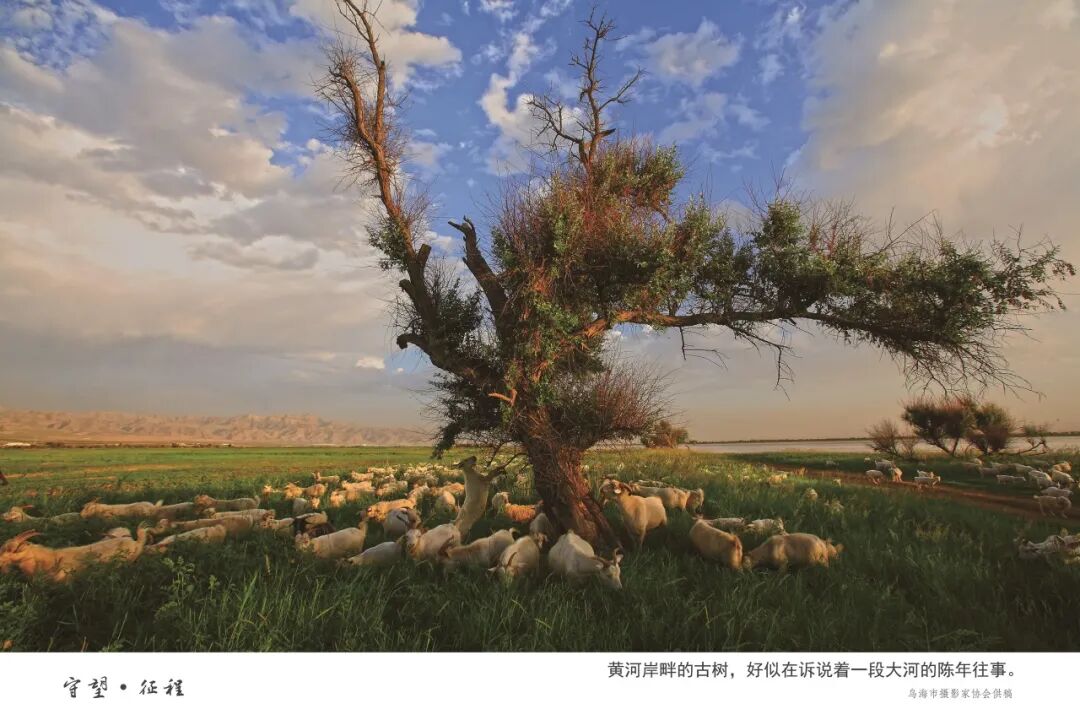 展讯丨“守望·征程——长城与黄河在内蒙古乌海首次拥抱”主题摄影展 第8张