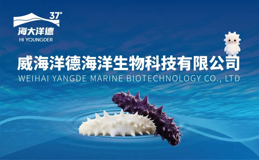 9071b9eefc9a47631aa10d1d79cd2b08.jpg