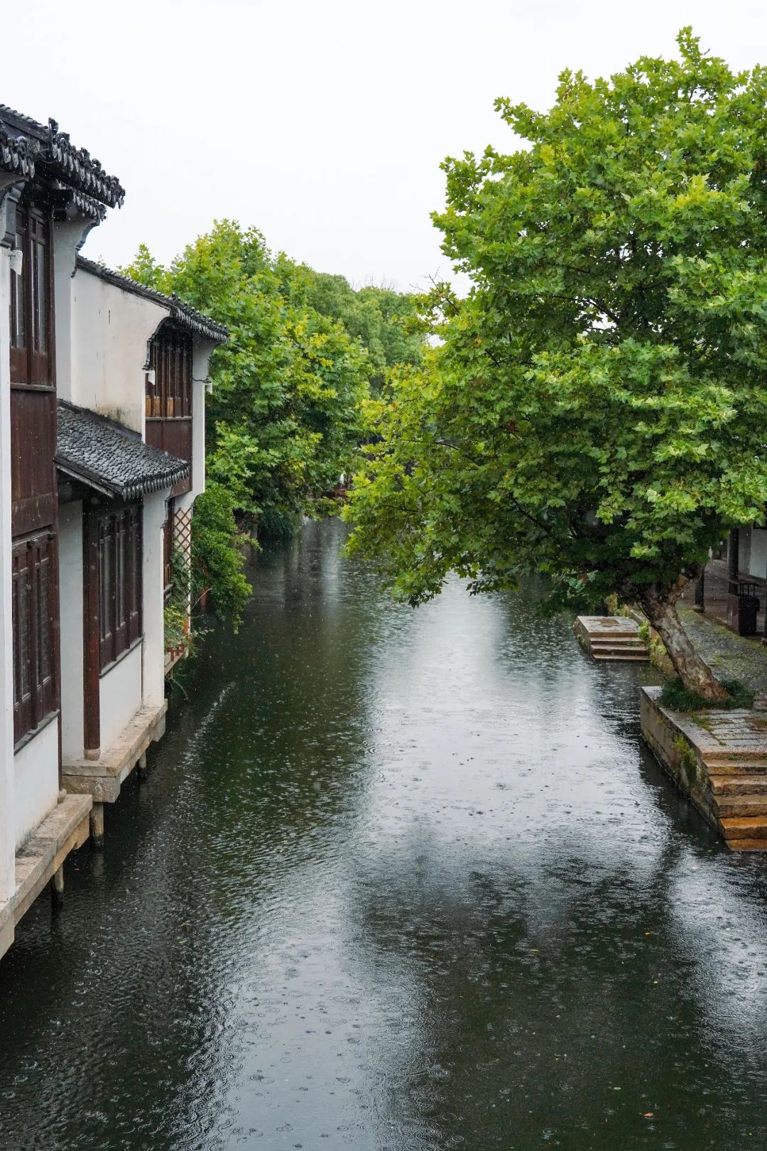 雨中景色的图片大全图片