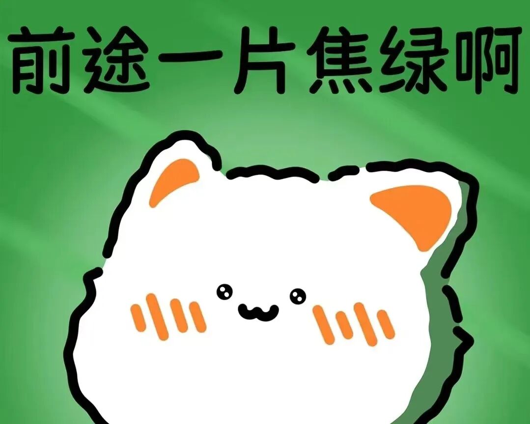 35 岁，40岁以上的不上班都干什么去了？除了摆摊、开店、自媒体，还有你不知道的赛道