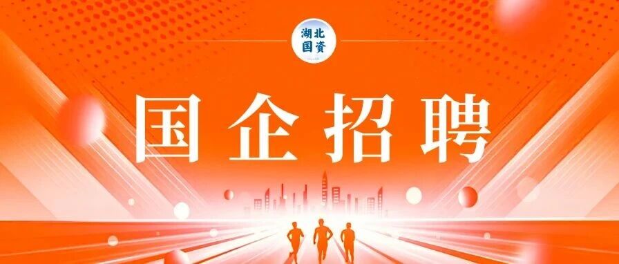 湖北大数据集团公开选聘15名集团中层管理人员