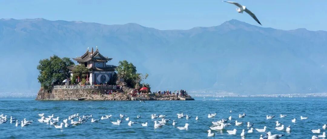 1年前，拆了1806家客栈的洱海，现在怎么样了？