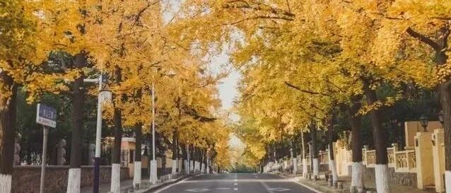 秋天适合一个人旅行的10个地方