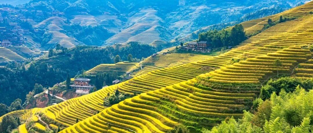 忽然，想去广西了