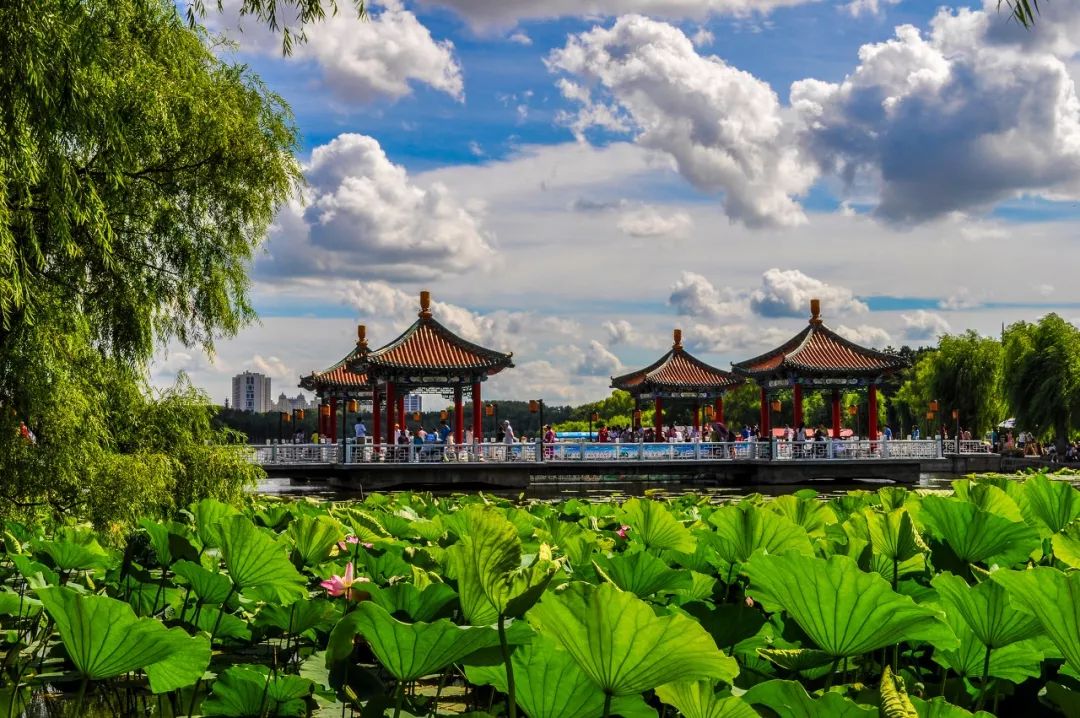 原來它竟是中國最幸福城市？！比成都低調，10次蟬聯榜單！ 旅遊 第16張