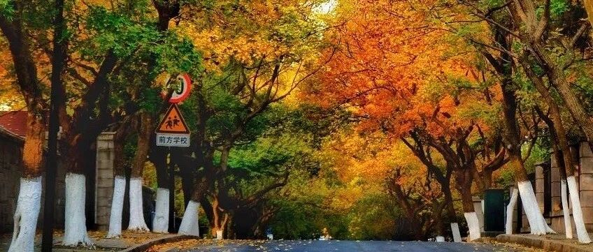 秋天中国最美的10个旅行地，看到第一个，我就忍不住了...