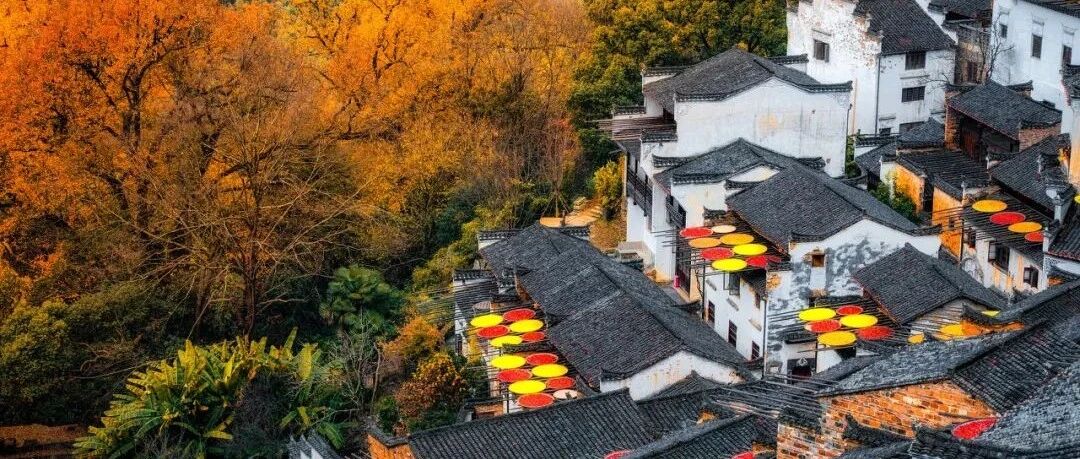 忽然，想去婺源了