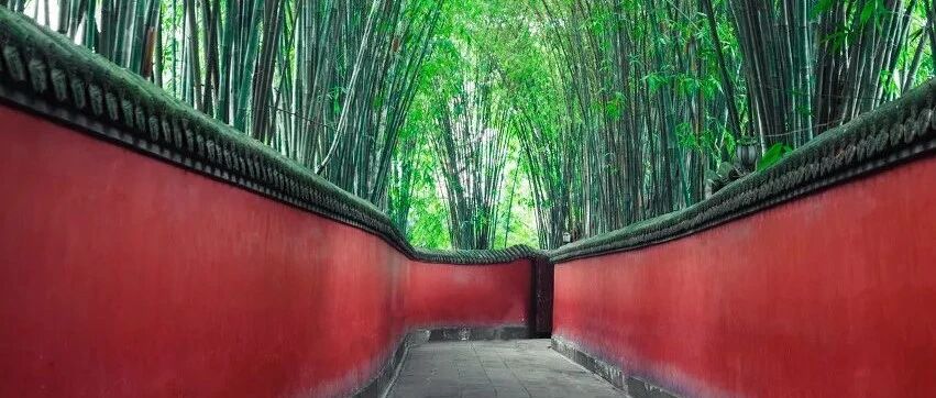 忽然，想去成都了