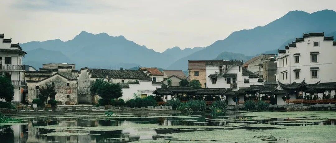 全球最佳旅行地出炉！它是中国唯一上榜的城市，比苏杭还安逸，美到窒息！