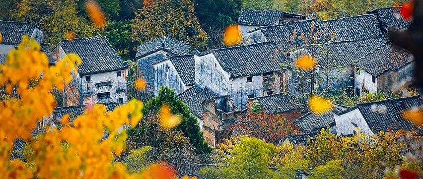 一入秋，安徽就成了徽州...