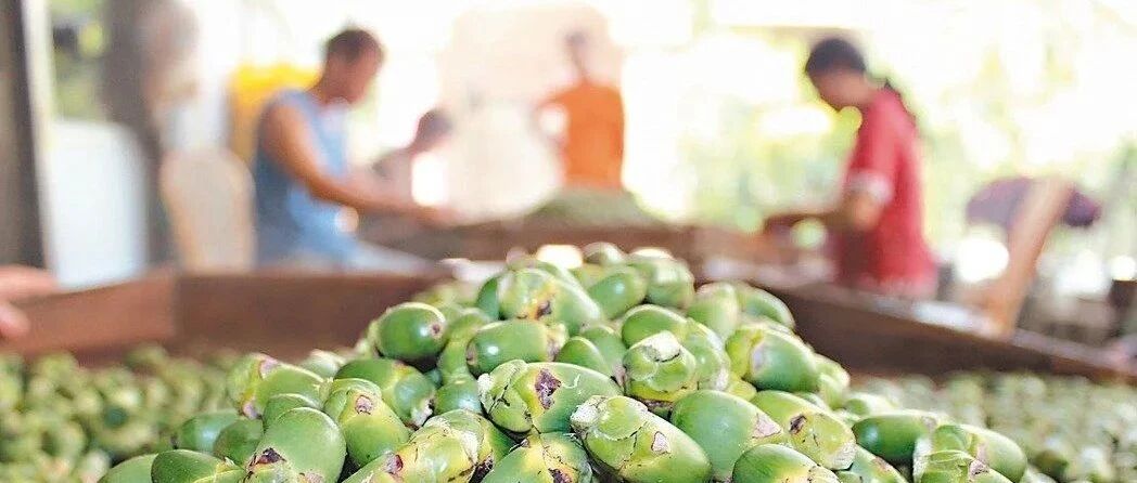 每年因为吃它上瘾，几万人正在慢性自杀......