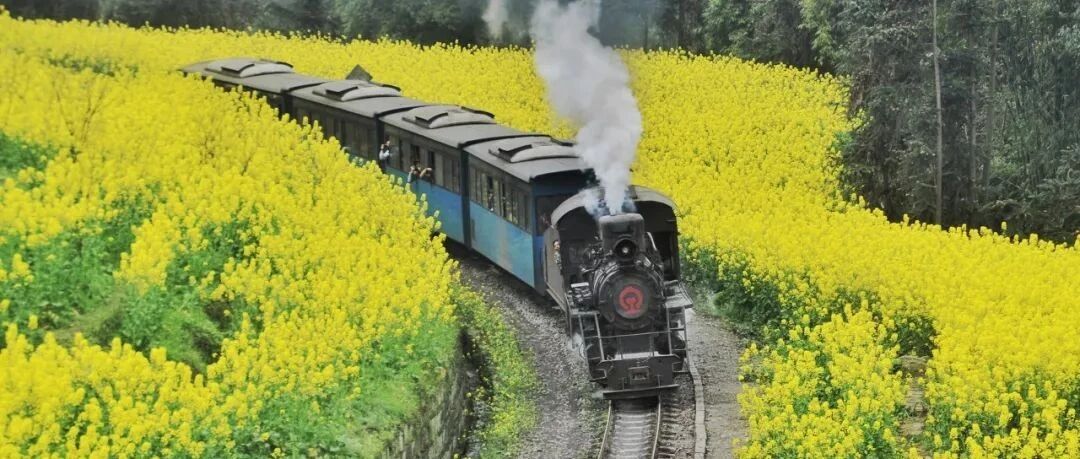 再过20天，全世界都要羡慕死中国了！！！