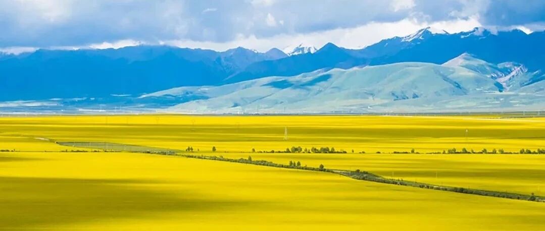 再不去西北，我就要疯了！