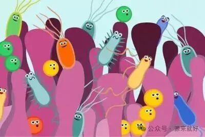 抗生素后别乱补益生菌！Nature重磅：盲目补菌，反而阻碍肠道自愈 - 第10张  | 中药养生知识-中草药的功效与作用