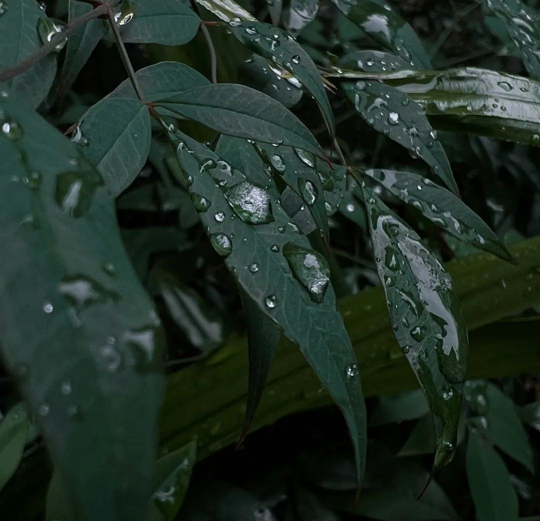 迪庆天气