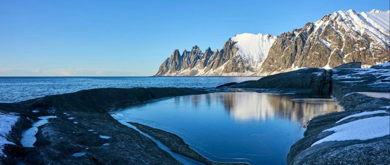 放水速度！首周五撸200元返现；神价奶茶通兑