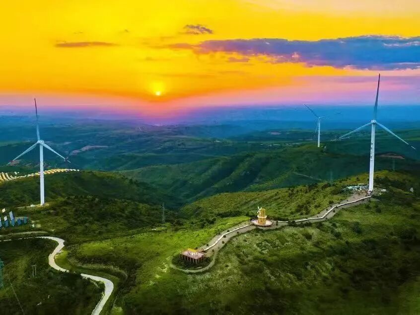 来风车小镇界头庙感受自然魅力体验采摘圣女果的乐趣