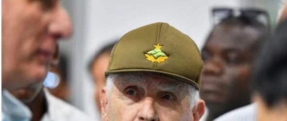 cover_image