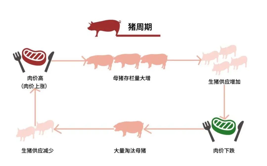 特稿丨养猪业迎来"寒冬"?拿好跨越"猪周期"的三板斧!