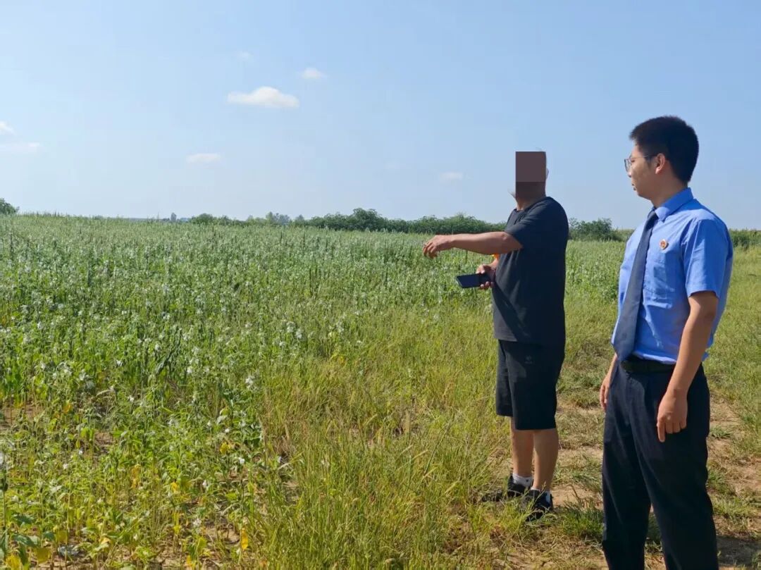 盗挖8400吨土黄金