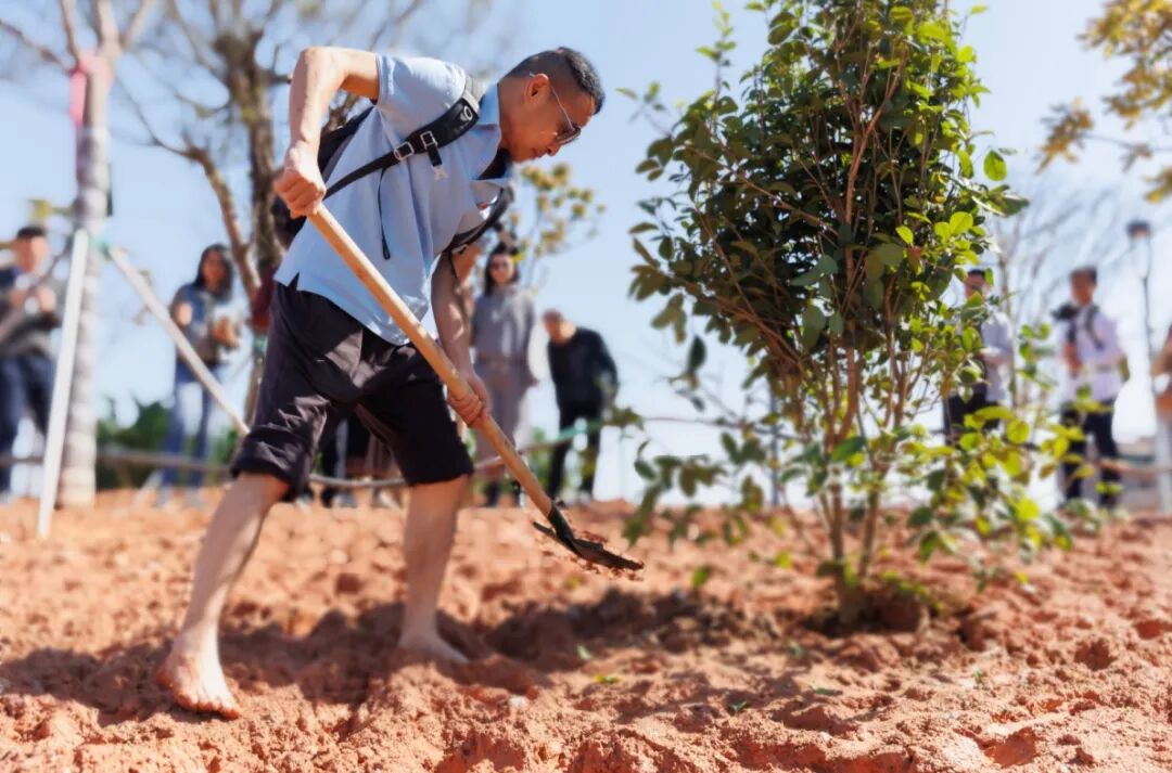 植树培根 育人润心