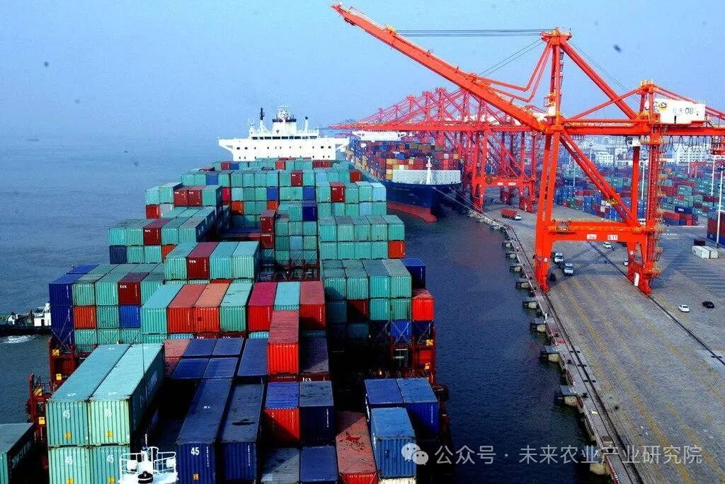 海关总署：上半年中国农产品出口3031亿元 同比增21.7%_凤凰网