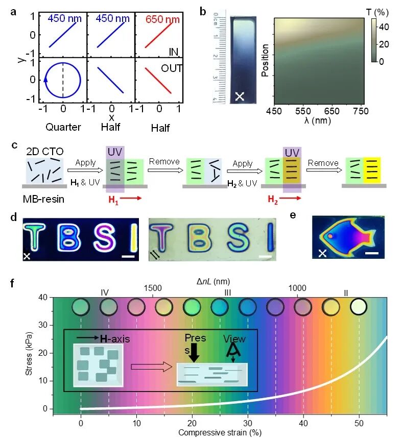 水凝胶近期突破性成果梳理的图7