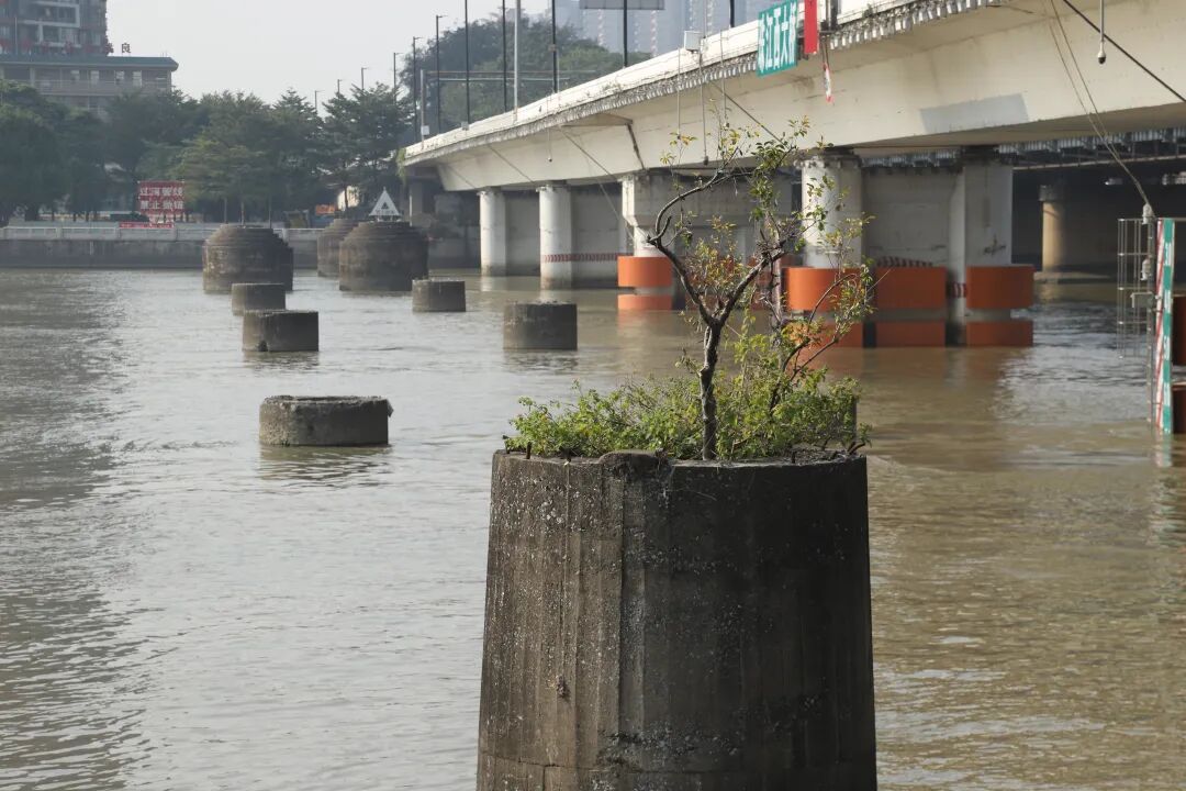 双桥烟雨落寞时导赏回顾